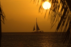 02_ Catamaran Dolphin Sunset Cruise